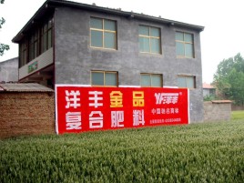 泗县如何让墙体广告展现最大化效果