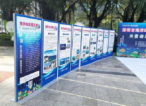 泗县KT板的种类和知识。